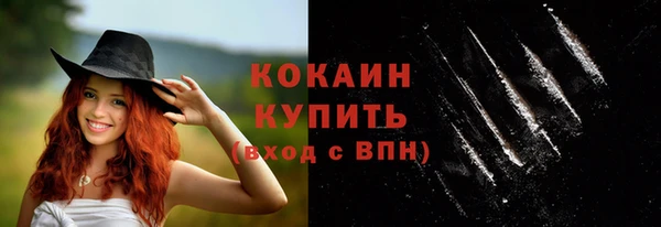 хмурый Абаза