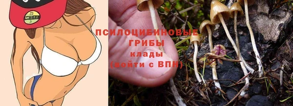 прущая мука Абдулино