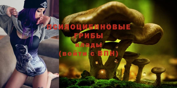 прущая мука Абдулино