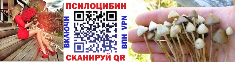 наркошоп  Агидель  блэк спрут сайт  Псилоцибиновые грибы ЛСД 